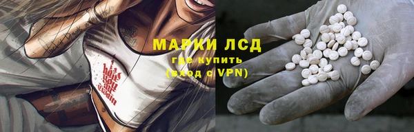 сатива Зерноград