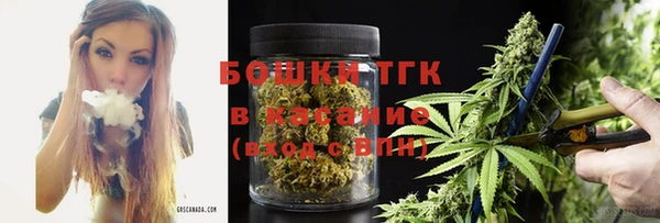 сатива Зерноград