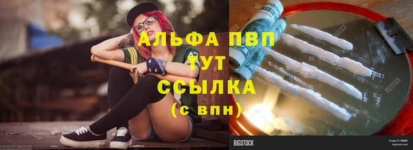 прущие крисы Зеленокумск