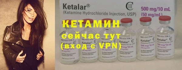 сатива Зерноград
