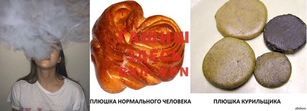 прущие крисы Зеленокумск