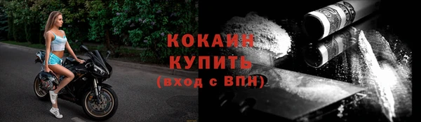 сатива Зерноград