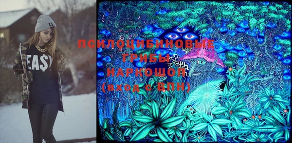сатива Зерноград